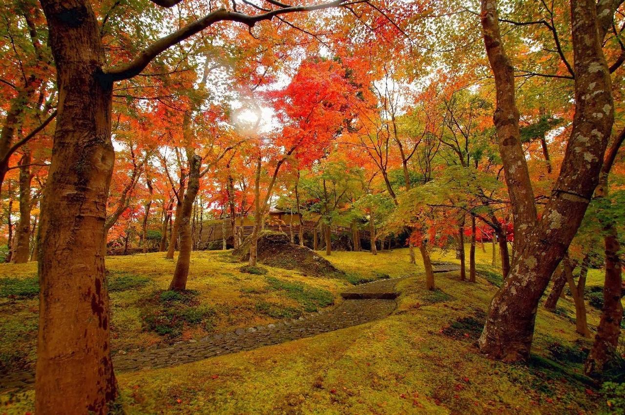 Jemsty Inn Hakone Ashinoko Екстер'єр фото
